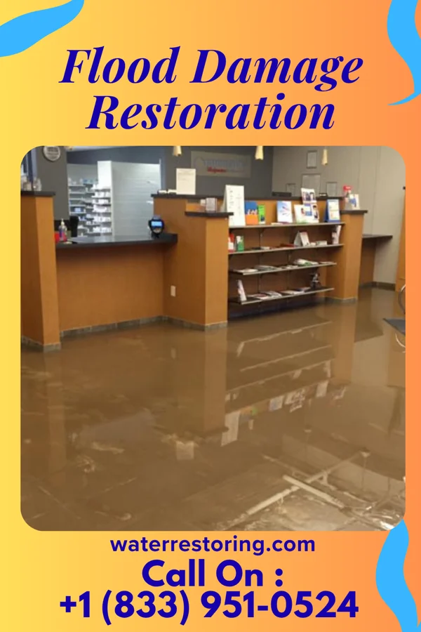 Flood Damage Restoration in Ludlow, IL