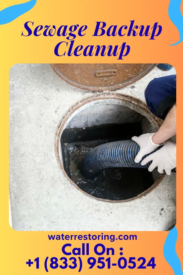 Sewage Backup Cleanup in Ludlow, IL