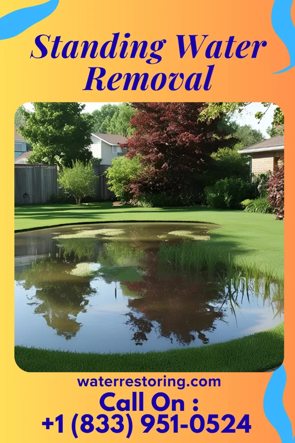 Standing Water Removal in Ludlow, IL